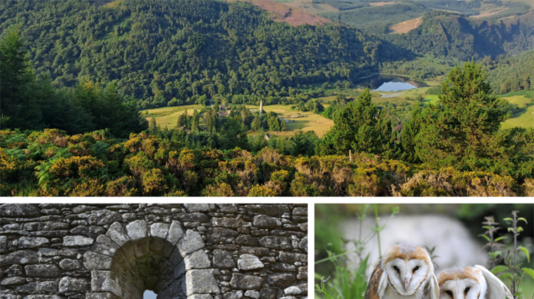 Have Your Say on the Next County Wicklow Heritage Plan