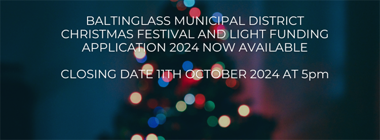 CHRISTMAS FESTIVAL AND LIGHT FUNDING APPLICATION 2024