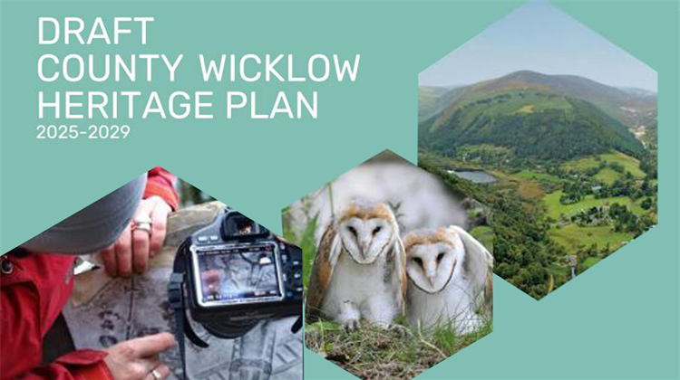 Draft Heritage Plan for County Wicklow Prepared by Wicklow County Council in Partnership with The Wicklow Heritage Forum