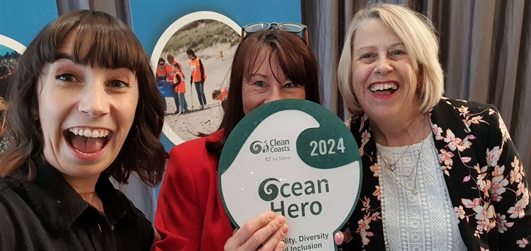 Arklow Coast Care Wins Ocean Hero Award for Promoting Inclusion and Sustainability